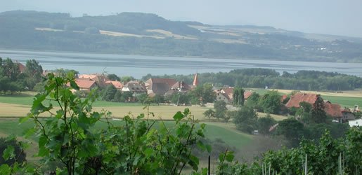 vue-onnens-depuis-vignes