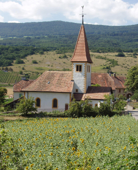 Eglise tournesol 2010 09 05